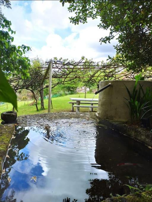 A Vina De Lina. Turismo Rural Con Piscina Y Finca. Pontevedra Zewnętrze zdjęcie
