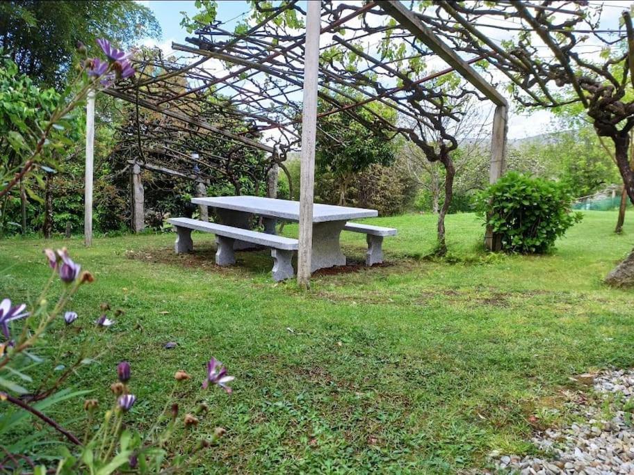 A Vina De Lina. Turismo Rural Con Piscina Y Finca. Pontevedra Zewnętrze zdjęcie